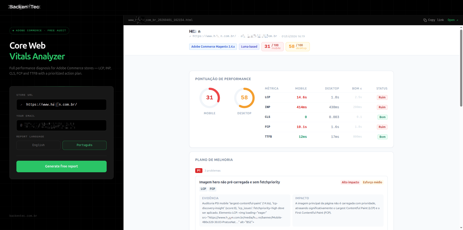 Audit report preview